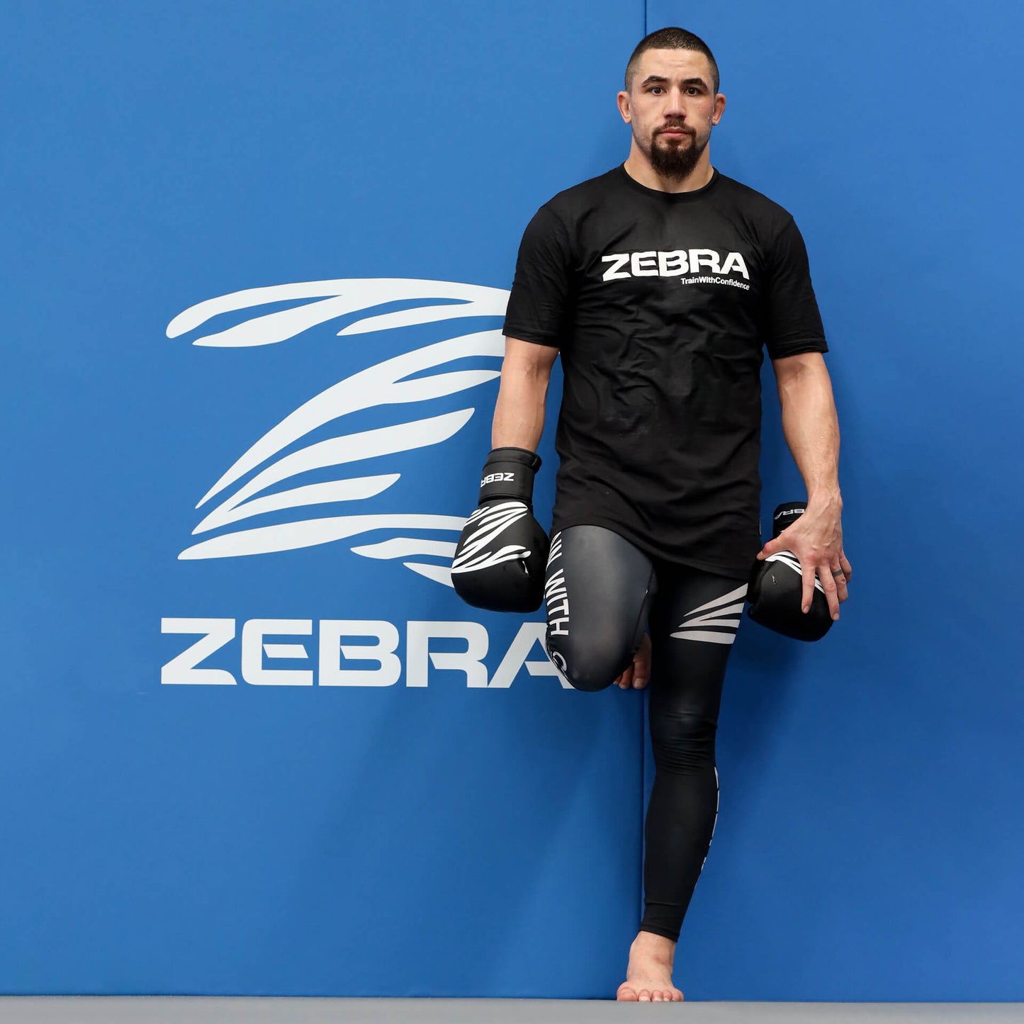 Zebra Fitness Training Gloves - Black