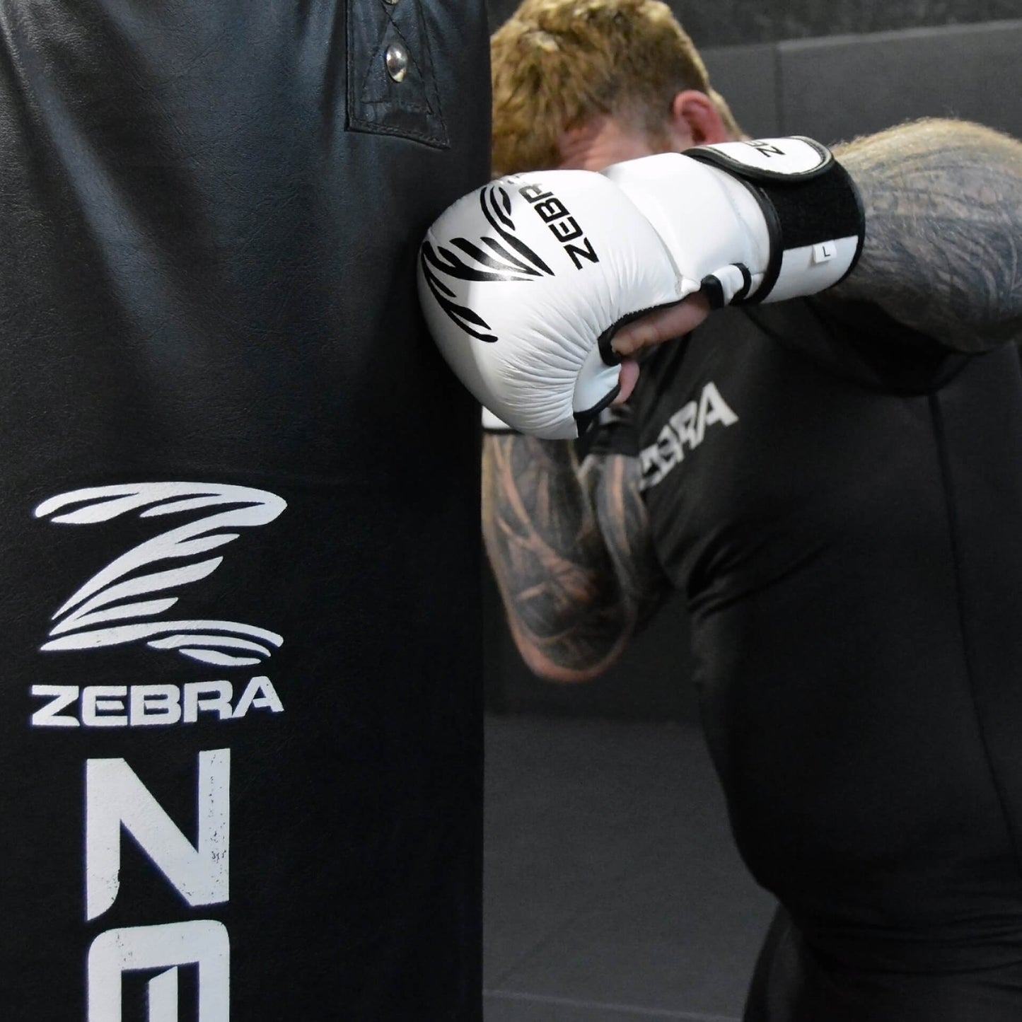 Zebra MMA Sparring Gloves - White