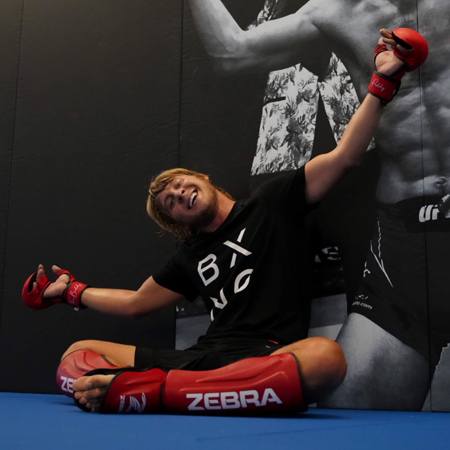 Zebra MMA Sparring Gloves - Red