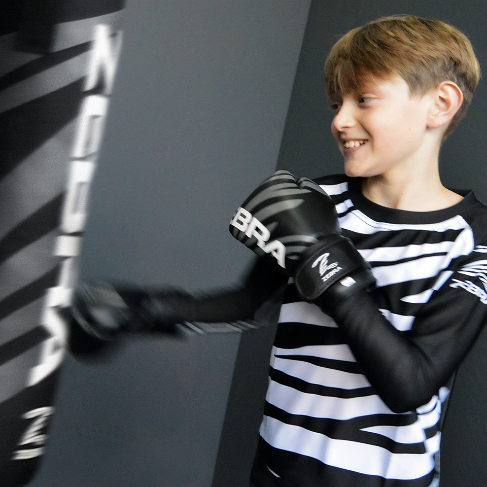 Zebra Kidz Punch Bag & Gloves Gift Set