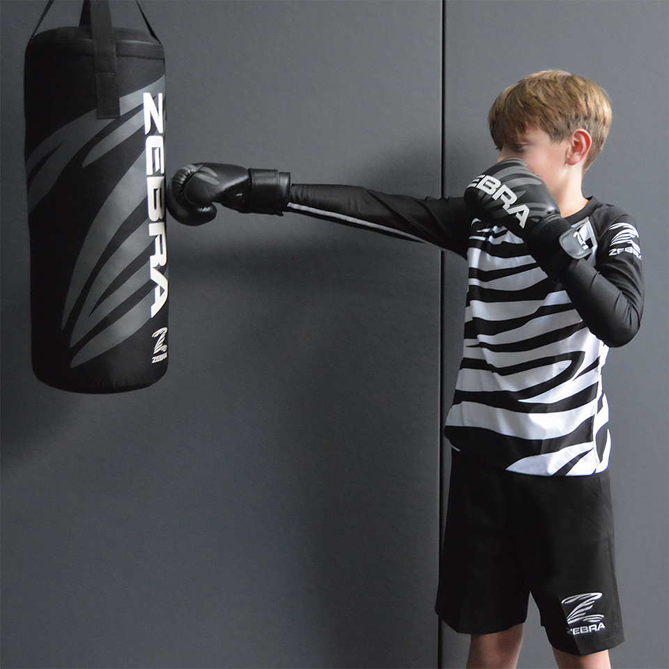 Zebra Kidz Punch Bag & Gloves Gift Set