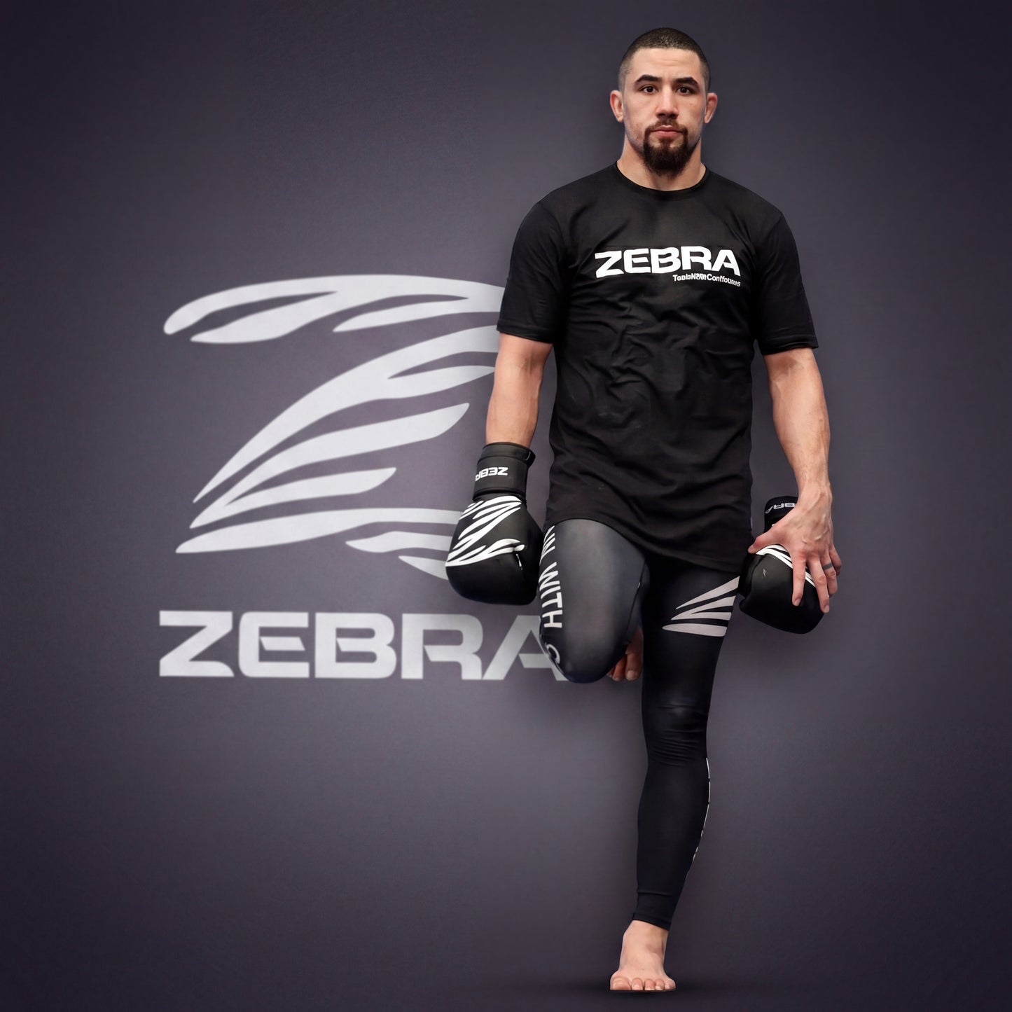 Zebra Fitness Training Gloves - Black